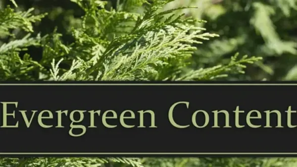 Evergreen İçerik Nedir? Evergreen İçerikler Nasıl Üretilir?