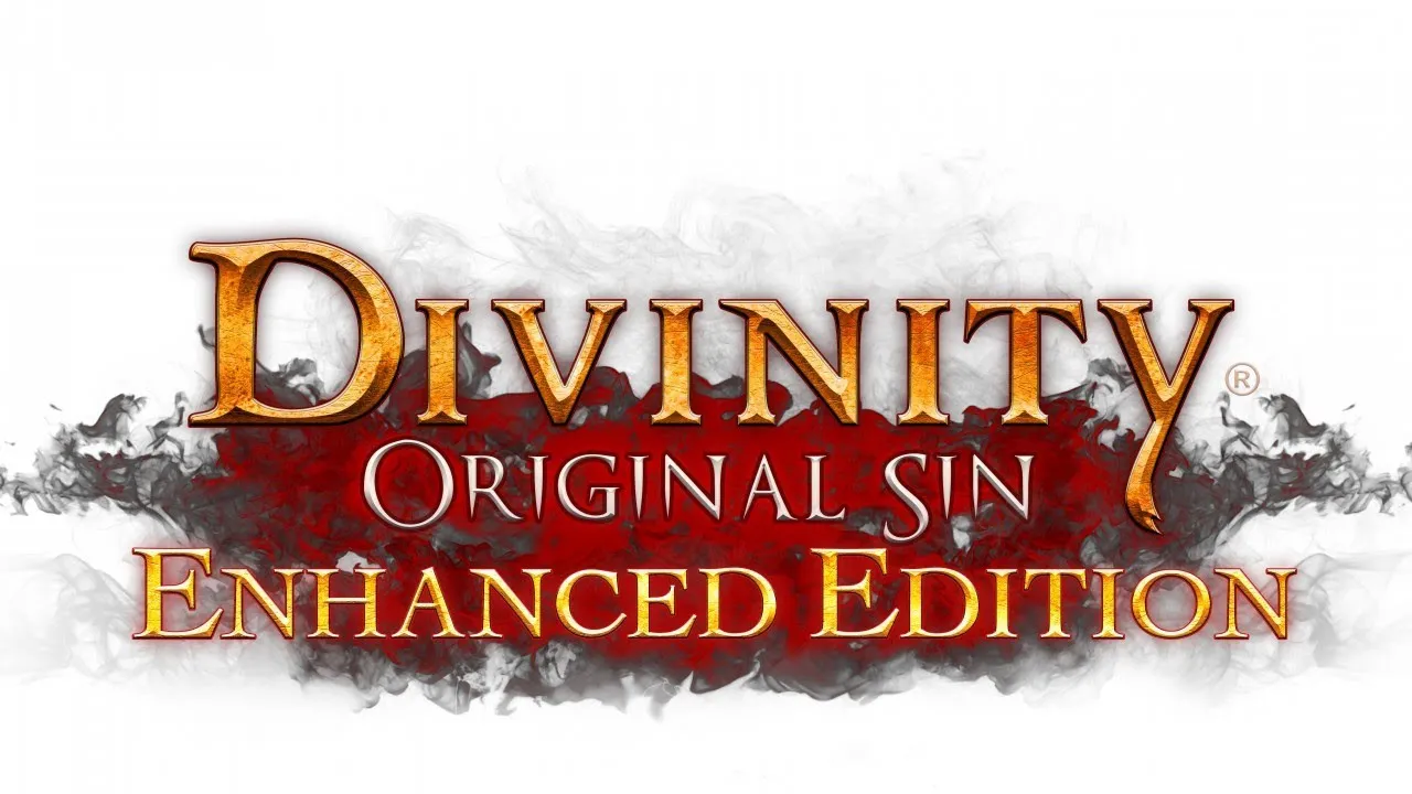Divinity Original Sin 1 Enhanced Edition Türkçe Yama